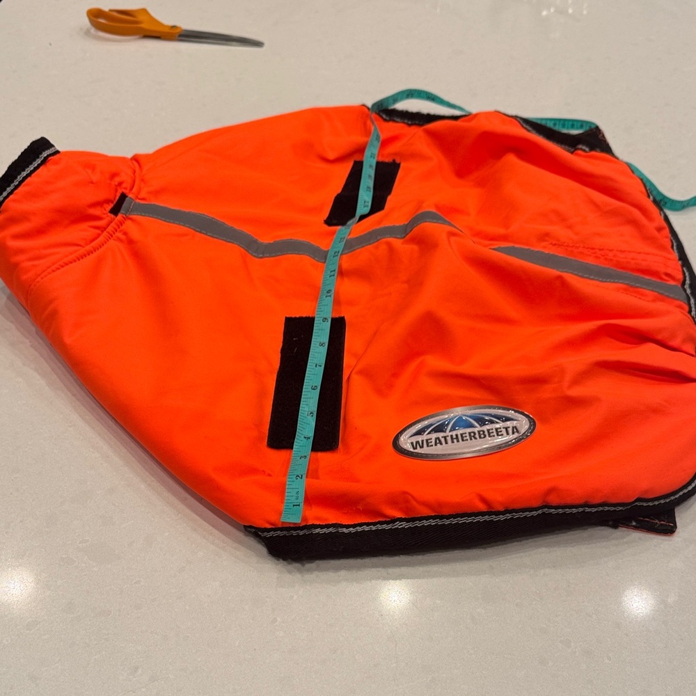 Orange Dog Jacket